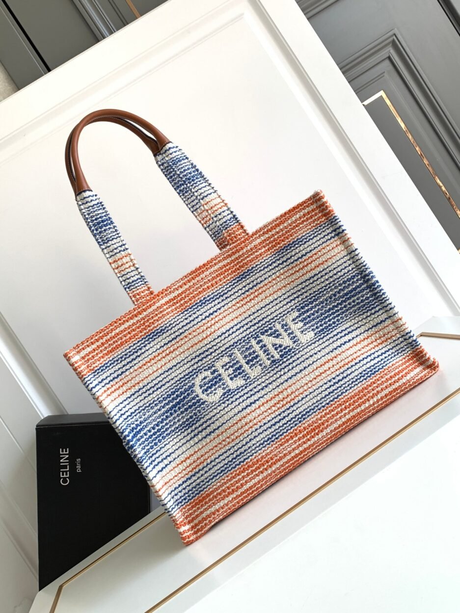 Celine Triomphe Cabas Colorful